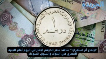 “ارتفاع أم استقرار؟” شاهد سعر الدرهم الإماراتي اليوم أمام الجنيه المصري في البنوك والسوق السوداء