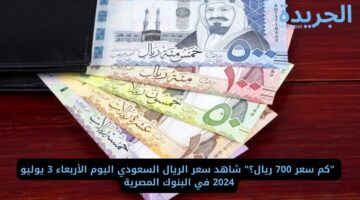 “كم سعر 700 ريال؟” شاهد سعر الريال السعودي اليوم الأربعاء 3 يوليو 2024 في البنوك المصرية