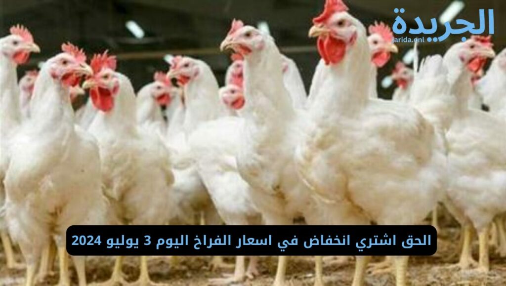 أسعار الدواجن اليوم