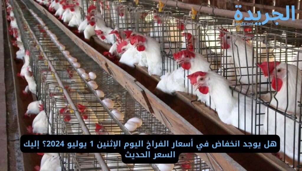 أسعار الفراخ اليوم