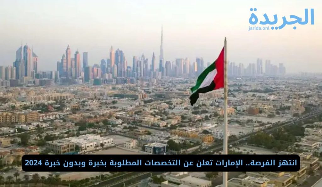 التخصصات المطلوبة في الإمارات