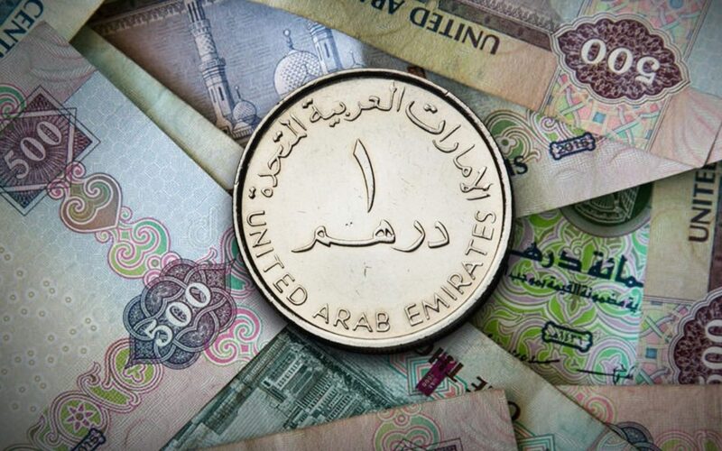 سعر الدرهم الإماراتي مقابل الجنيه المصري