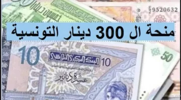 شروط الحصول على المنحة 300 دينار تونس 2024