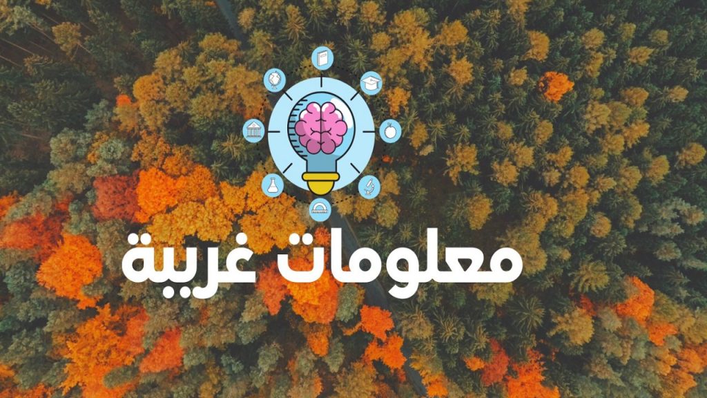 معلومات غريبة