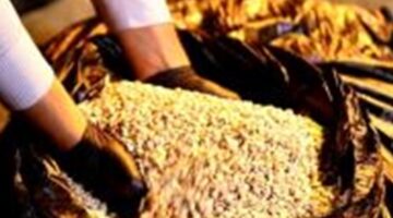 ضربه امنيه قاصمة….الداخلية تحبط محاولة تهريب كميات من الكبتاجون تقدر ب4 مليار جنيه – الجريدة