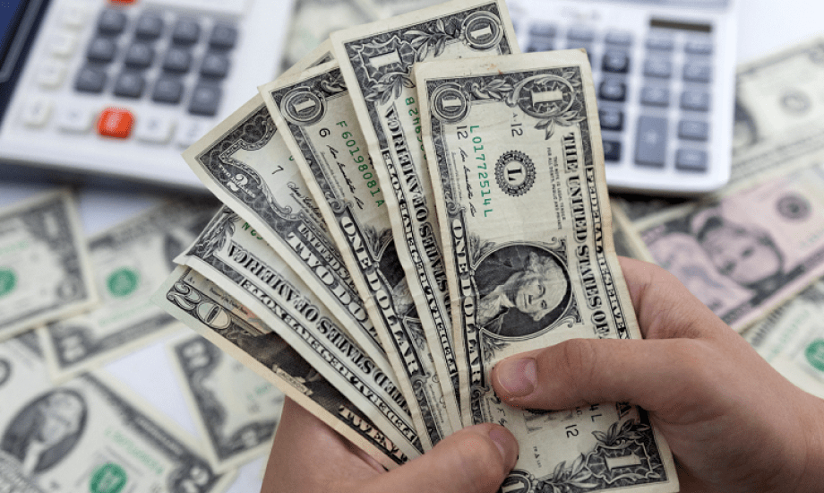 1735006256 سعر الدولار 1734006185 0