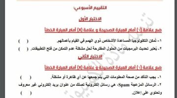 مراجعات نهائية.. لطلاب الصف الرابع الابتدائي.. أسئلة تقييم الاسبوع الـ 15 في الكمبيوتر – الجريدة