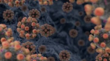 ضرب بريطانيا.. اكتشف طرق الوقاية من فيروس HMPV – الجريدة