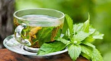 6 أسباب تجعلك تشرب الشاي الأخضر يوميا.. تعرف عليها – الجريدة