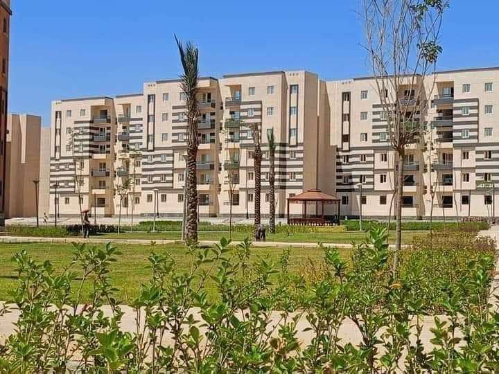 سكن لكل المصريين 1735807014 4