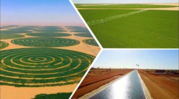 خاص| مصر تؤمن غذاء المستقبل.. الانتهاء من استصلاح 4 مليون فدان قريبًا – الجريدة