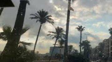 برودة قاسية وأمطار غزيرة في هذه المناطق – تعرف على التفاصيل! – الجريدة