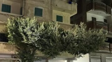 قرار جديد من النيابة العامة بشأن قضية سفاح بالإسكندرية – الجريدة