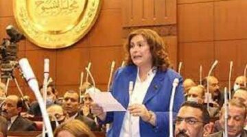 برلمانية عن لقاء السيسي ورئيس الكونجرس اليهودي: إشادة دولية بدور القاهرة في التهدئة – الجريدة