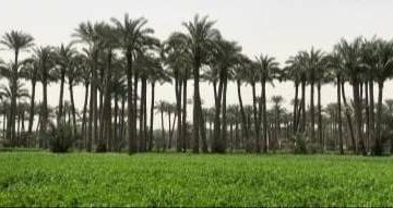 مركز المناخ: أمطار خفيفة ونشاط للرياح على هذه المناطق – الجريدة