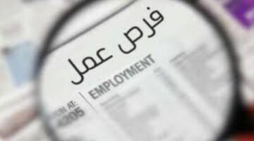 وظائف لشباب الخريجين في بورسعيد .. اعرف الشروط وطريقة التقديم – الجريدة