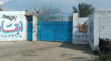 جمعية أحمد عرابي تشتكى من مزرعة أبقار تهدد حياة الزوار – الجريدة