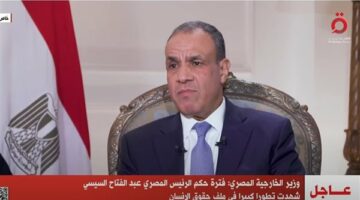العلاقات المصرية الإسبانية شهدت نقلة نوعية خلال الـ10 أعوام الماضية – الجريدة