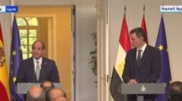 الرئيس السيسى يدعو لتبنى المجتمع الدولى خطة إعمار غزة دون تهجير الفلسطينيين – الجريدة