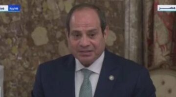 الرئيس السيسى: نعتز بعلاقاتنا مع إسبانيا ومسار التعاون الثنائى تطور كثيرا – الجريدة