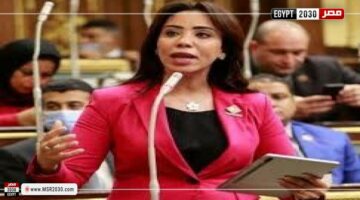 النائبة غادة علي: العالم يشهد تخبطًا وتراجعًا عن أولويات العولمة | الأخبار – الجريدة