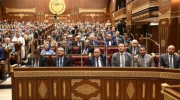 توصية للشيوخ بإصدار تشريع جديد بإنشاء المجلس الوطني لريادة الأعمال في مصر – الجريدة