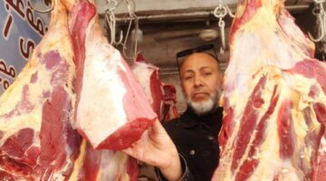 تكثيف جهود الطب البيطرى بالحملات التفتيشية لضبط المخالفات – الجريدة