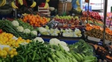 تعرف على أسعار الخضروات والفاكهة فى أسواق أسوان.. اليوم – الجريدة
