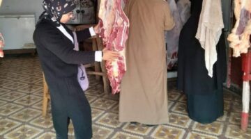 ضبط 375 كيلو لحوم ودجاج غير صالحة – الجريدة