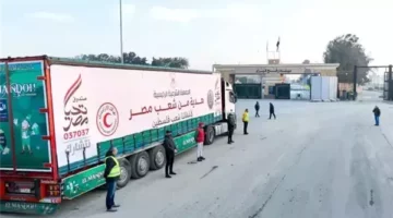 شاهد..دور الهلال الأحمر المصري على معبر رفح في استقبال المصابين ومرافقيهم – الجريدة
