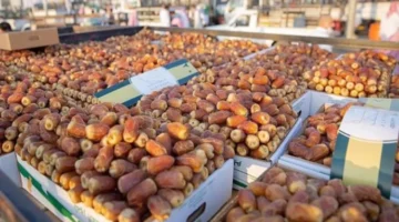 هذه أسعار التمور في أكادير – الجريدة