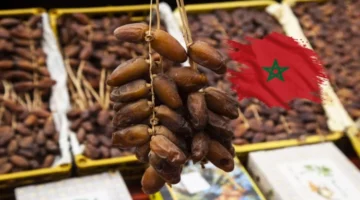 ارتفاع أسعار التمور بالمغرب مع اقتراب رمضان وهذه قائمة الأثمان – الجريدة