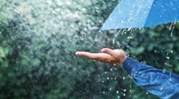 طقس المغرب غدا الأحد.. تساقطات ثلجية وأمطار رعدية بهذه المناطق – الجريدة