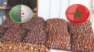 تحذير من غزو التمور الجزائرية المهربة للأسواق المغربية – الجريدة