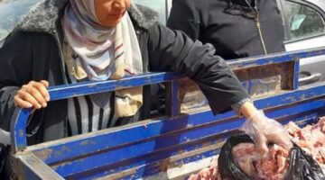 محافظة الجيزة تضبط 13 طن مصنعات و مقطعات لحوم و مفروم دواجن فاسدة وغير صالحة للاستهلاك الادمي – الجريدة