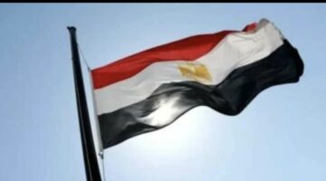 مصر تدين قطع الكهرباء عن غزة وتدعو لتحرك دولي عاجل – الجريدة