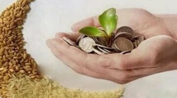 أسئلة وأجوبة شاملة عن زكاة الفطر