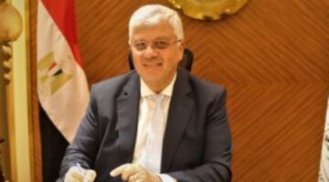 مصر: تصميم المناهج الجامعية لربط العمل بالتنمية المستدامة