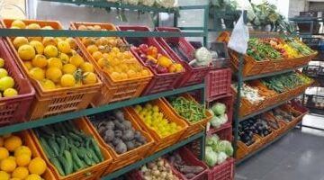 أسعار الفاكهة بالإسماعيلية اليوم 19-3-2025