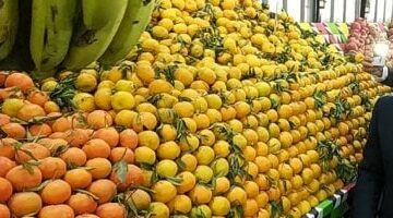 أسعار الفاكهة اليوم بالإسماعيلية 30-3-2025