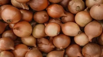 أسعار الخضروات والفاكهة في سوق العبو