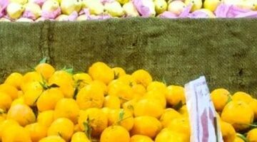 أسعار الفاكهة بمطروح 19-3-2025