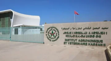 نقابة التعليم تطالب بالتحقيق في ازدواجية المناصب