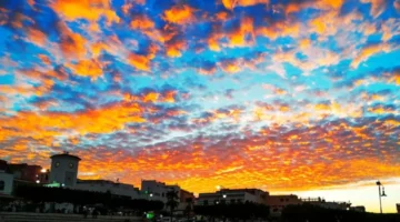 درجات الحرارة الدنيا والعليا المرتقبة غدا الإثنين – الجريدة