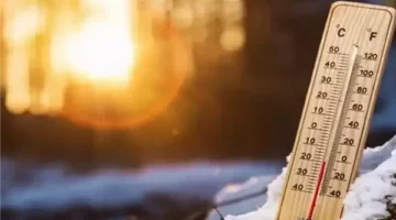 طقس مصر غدًا: نشاط رياح