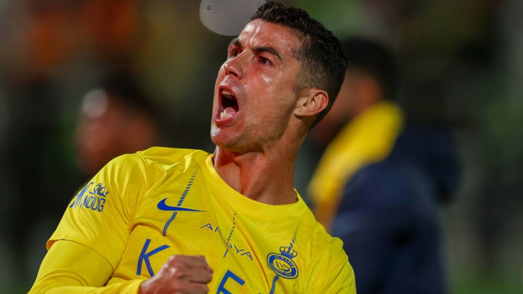 D983D8B1D98AD8B3D8AAD98AD8A7D986D988 D8B1D988D986D8A7D984D8AFD988 D