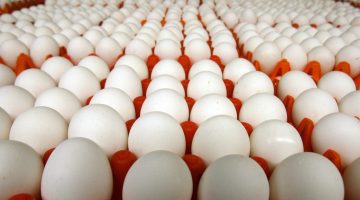 انخفاض أسعار البيض البلدي إلى 100 جنيه
