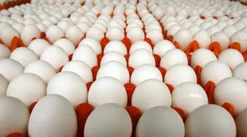 انخفاض أسعار البيض البلدي إلى 100 جنيه