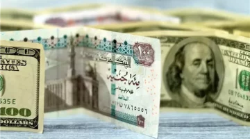 أسعار الدولار اليوم الأحد 20 أبريل 2025 – تعرف على التحديثات الجديدة