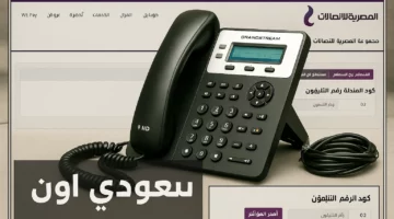 هل يوجد إعفاء… الاستعلام عن فاتورة التليفون الأرضي أبريل 2025 وطرق السداد.. وهل يوجد إعفاء من الدفع billing.te.eg